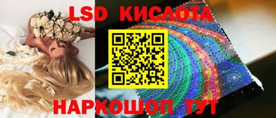 ешки Боровичи