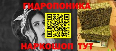 бошки Бердск