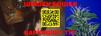 дмт Брянск