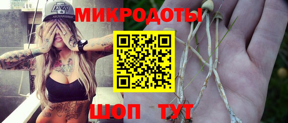 Псилоцибиновые грибы Psilocybine cubensis Знаменск