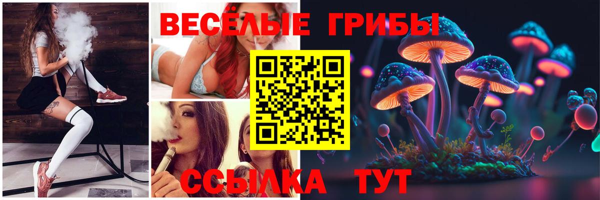 Галлюциногенные грибы Cubensis  Псилоцибиновые грибы прущие грибы  Вход с VPN  Знаменск 